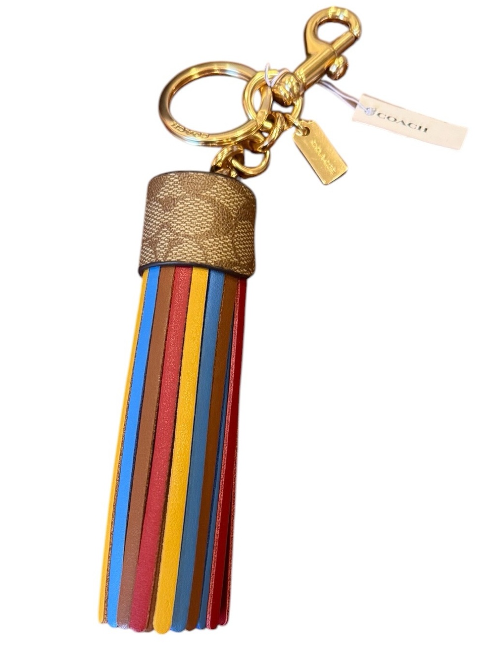Coach Multicolor Striped Leather Tassel Keychain with Gold Hardware
